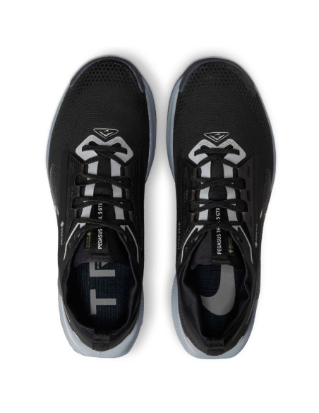 Nike Pegasus Trail 5 GoreTex FQ0908001 shoes