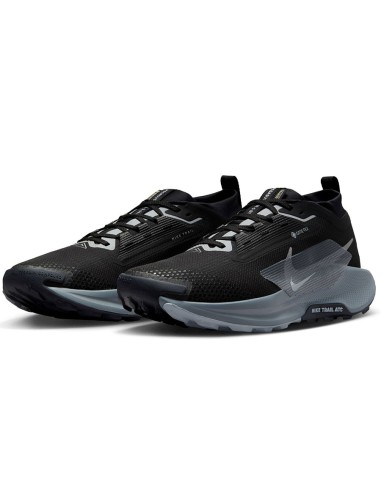 Nike Pegasus Trail 5 GoreTex FQ0908001 shoes