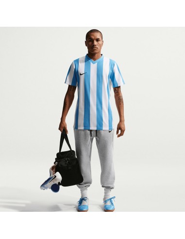 Nike Park 26 Fleece Pant IB1248063