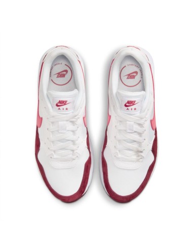 Nike Air Max SC FJ3242100 shoes