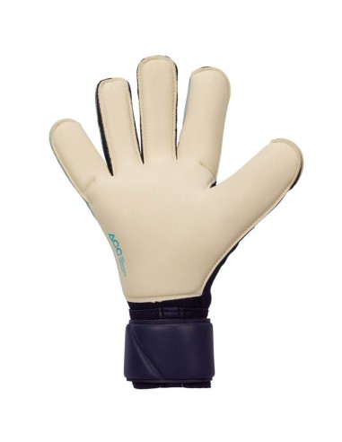 Nike Vapor Grip3 FB2999420 gloves