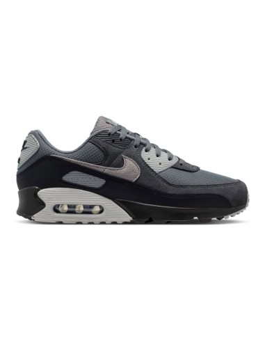Nike Air Max 90 DM0029020 shoes
