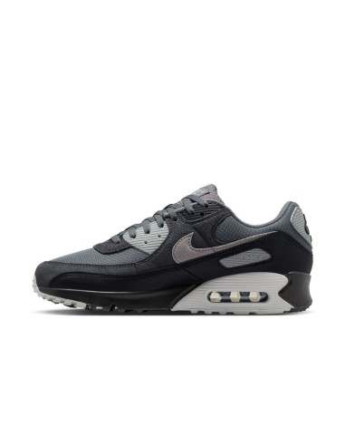 Nike Air Max 90 DM0029020 shoes
