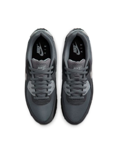 Nike Air Max 90 DM0029020 shoes