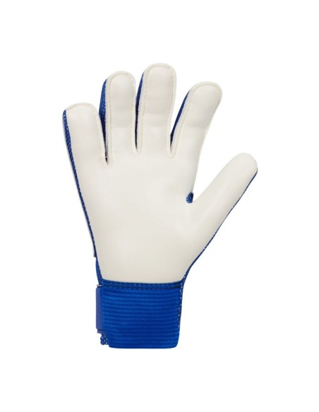Nike Goalkeeper Match Jr CQ7795445 Goalkeeper Gloves