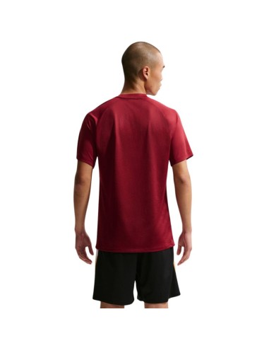 Nike DriFit Park VIII Men's TShirt Burgundy HV8173 677
