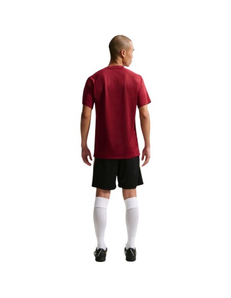 Nike DriFit Park VIII Men's TShirt Burgundy HV8173 677