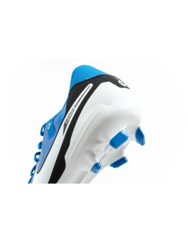 Nike Legend 10 Academy FGMG football boots