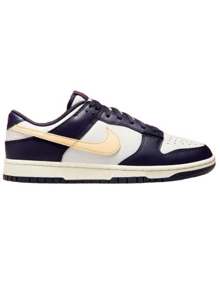 Nike Men's Dunk Low Retro Shoes FV8106181