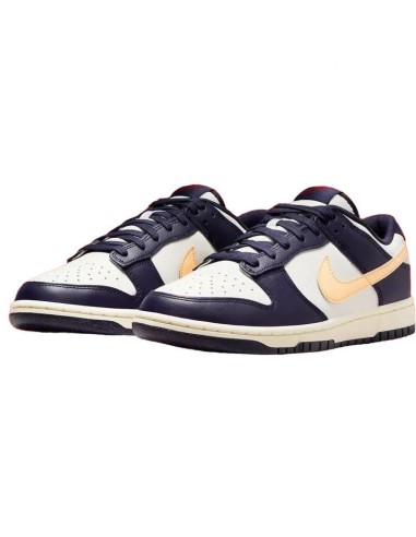 Nike Men's Dunk Low Retro Shoes FV8106181