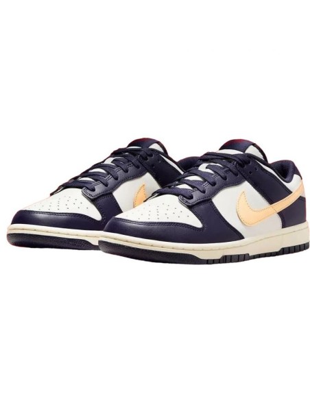 Nike Men's Dunk Low Retro Shoes FV8106181