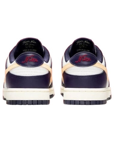 Nike Men's Dunk Low Retro Shoes FV8106181