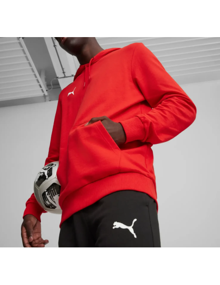 Puma Team Goal Casuals Hoody M 658618 01