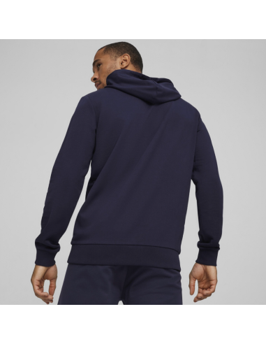 Puma Team Goal Casuals Hoody M 658618 06
