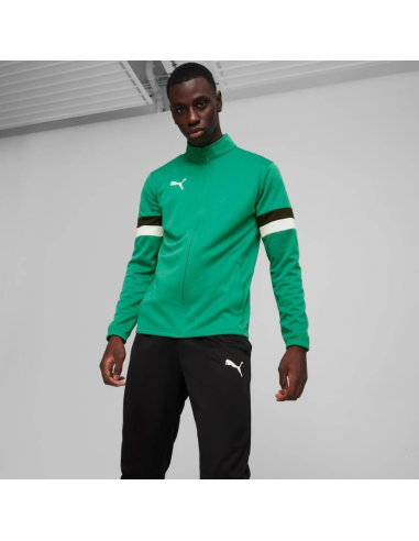 Puma Team Rise M tracksuit 658653 05