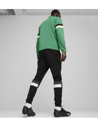 Puma Team Rise M tracksuit 658653 05