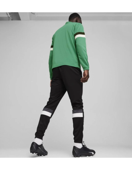 Puma Team Rise M tracksuit 658653 05