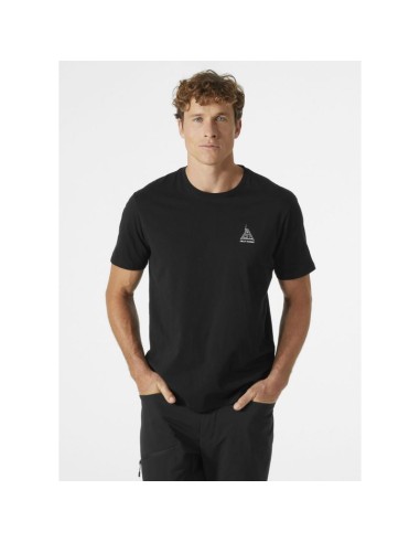 Helly Hansen men's tshirt F2F ORGANIC COTTON TEE 20 63340 990