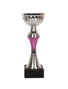 Triumph Cup 9273Fcom