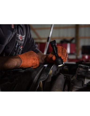 Ledlenser work light P5R Work 502185