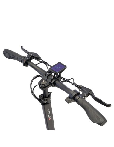 Motus Electric Scooter PRO10 2022 810W 20 kmh