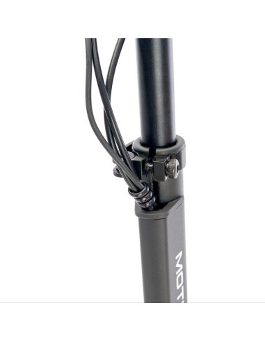 Motus Electric Scooter PRO10 2022 810W 20 kmh