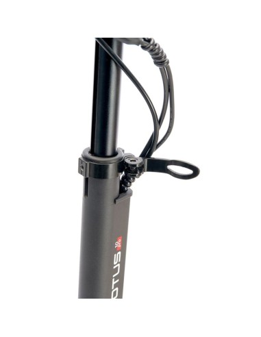 Motus Electric Scooter PRO10 2022 810W 20 kmh