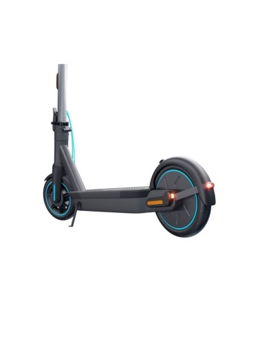 Electric scooter Motus Scooty 10 GEN 5 350W