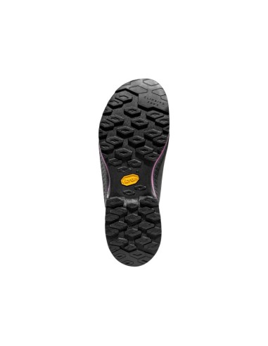 La Sportiva TX4 Evo W'S GTX Approach Shoes ZFAS053G00P11 CarbonSpringtime