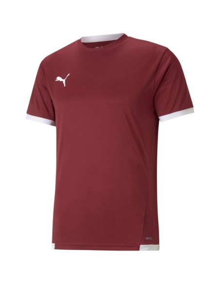 Puma teamLIGA Jersey M 704917 09
