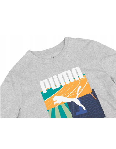 Puma Graphics Summer Sports Tee II M 627909 04