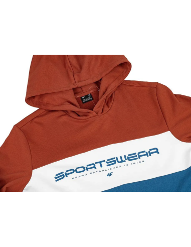 Sweatshirt 4F M 4FWSS24TSWSM1032 81S