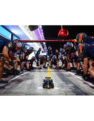 LEGO Technic 42206 Oracle Red Bull Racing RB20 F1 Car