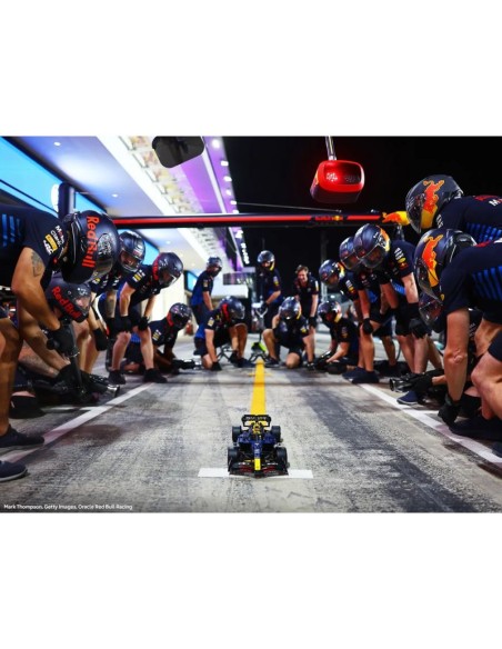 LEGO Technic 42206 Oracle Red Bull Racing RB20 F1 Car