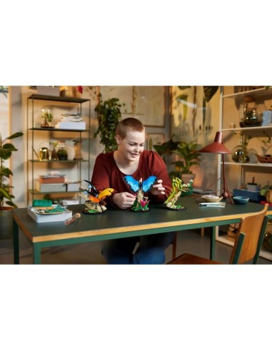 LEGO Ideas 21342 Insect Collection