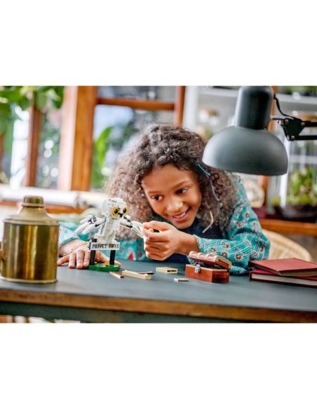 LEGO Harry Potter 76425 Hedwig Visits 4 Privet Drive