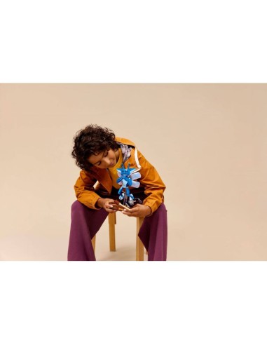 LEGO Harry Potter 76461 Cornish Pixie