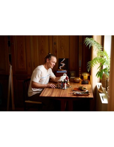 LEGO Harry Potter 76466 Philosopher's Stone Collector's Edition