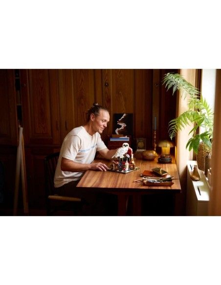 LEGO Harry Potter 76466 Philosopher's Stone Collector's Edition