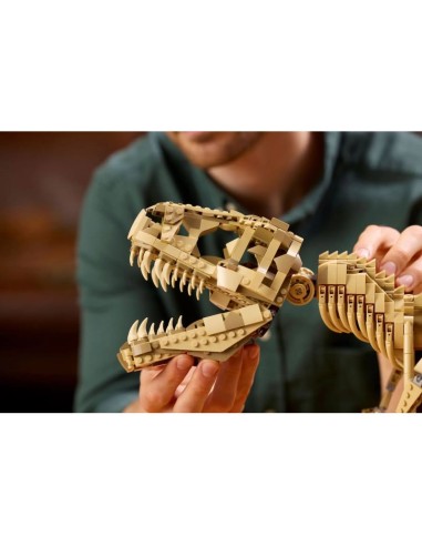 LEGO 76968 Jurassic World Dinosaur Skeletons Tyrannosaurus