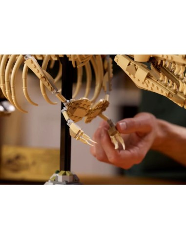 LEGO 76968 Jurassic World Dinosaur Skeletons Tyrannosaurus