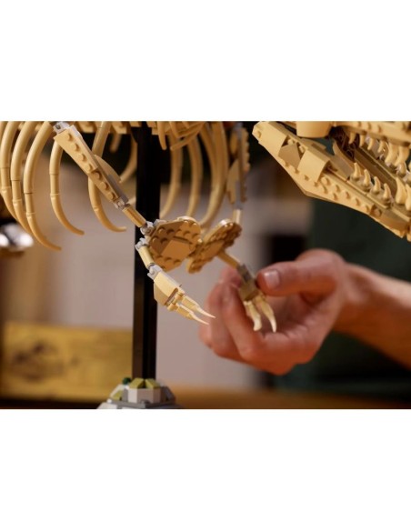 LEGO 76968 Jurassic World Dinosaur Skeletons Tyrannosaurus