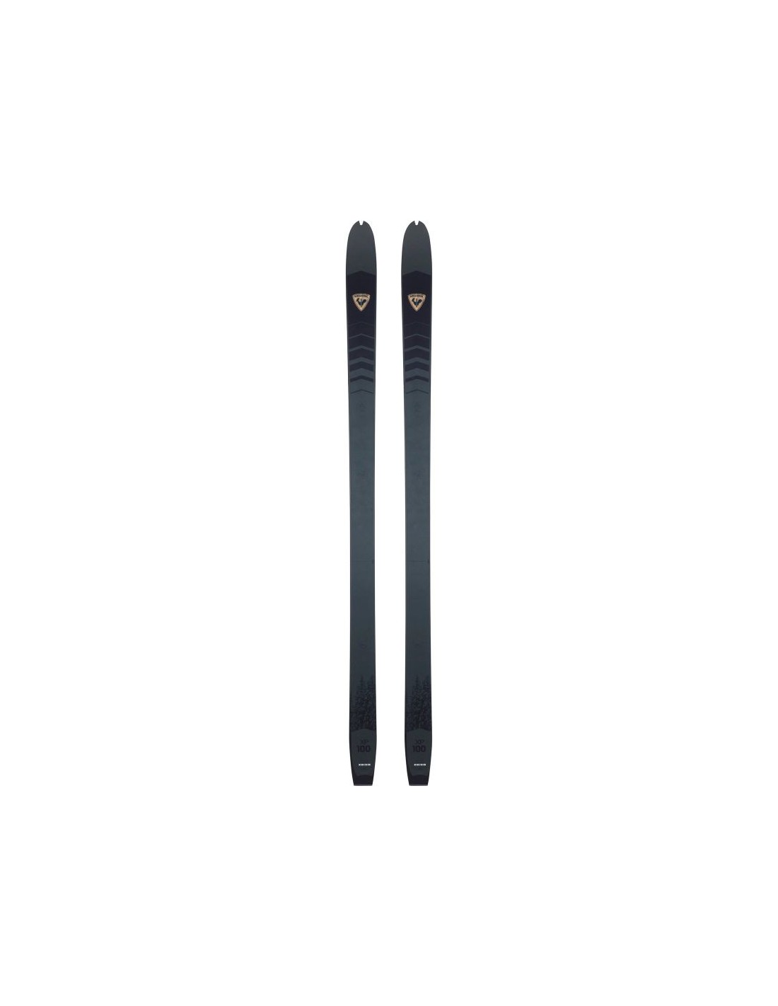 ROSSIGNOL XP 100 Positrack backcountry skis gray