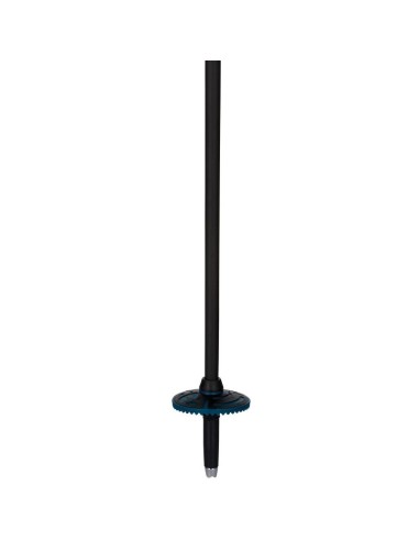 ROSSIGNOL Electra Premium Carbon Ski Poles Black and Blue