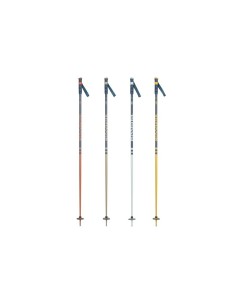 ROSSIGNOL STOVE BOX 20 PAIRS multicolor ski poles