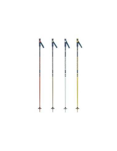 ROSSIGNOL STOVE BOX 20 PAIRS multicolor ski poles