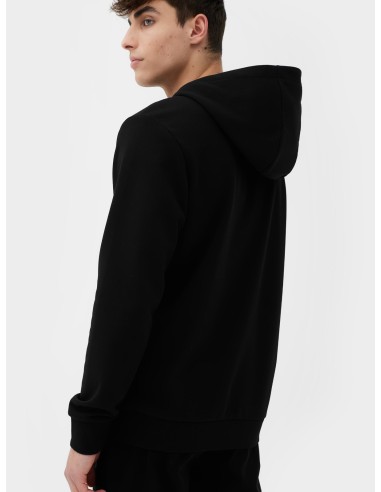 Sweatshirt 4F M266 M 4FSS23TSWSM266 20S