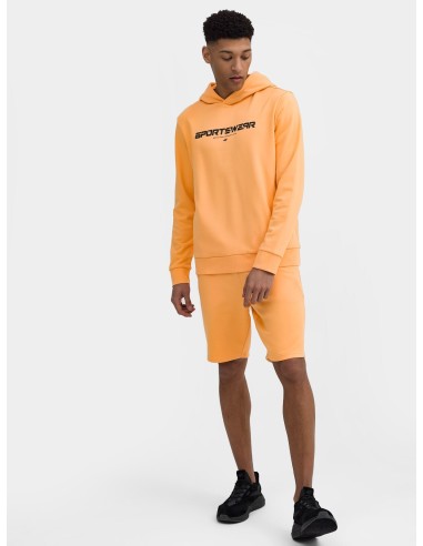 Sweatshirt 4F M266 M 4FSS23TSWSM266 64S