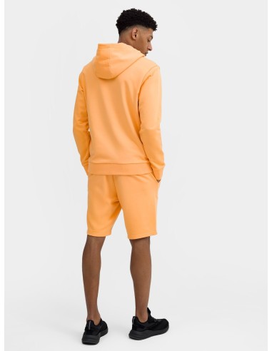 Sweatshirt 4F M266 M 4FSS23TSWSM266 64S