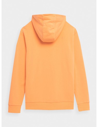 Sweatshirt 4F M266 M 4FSS23TSWSM266 64S